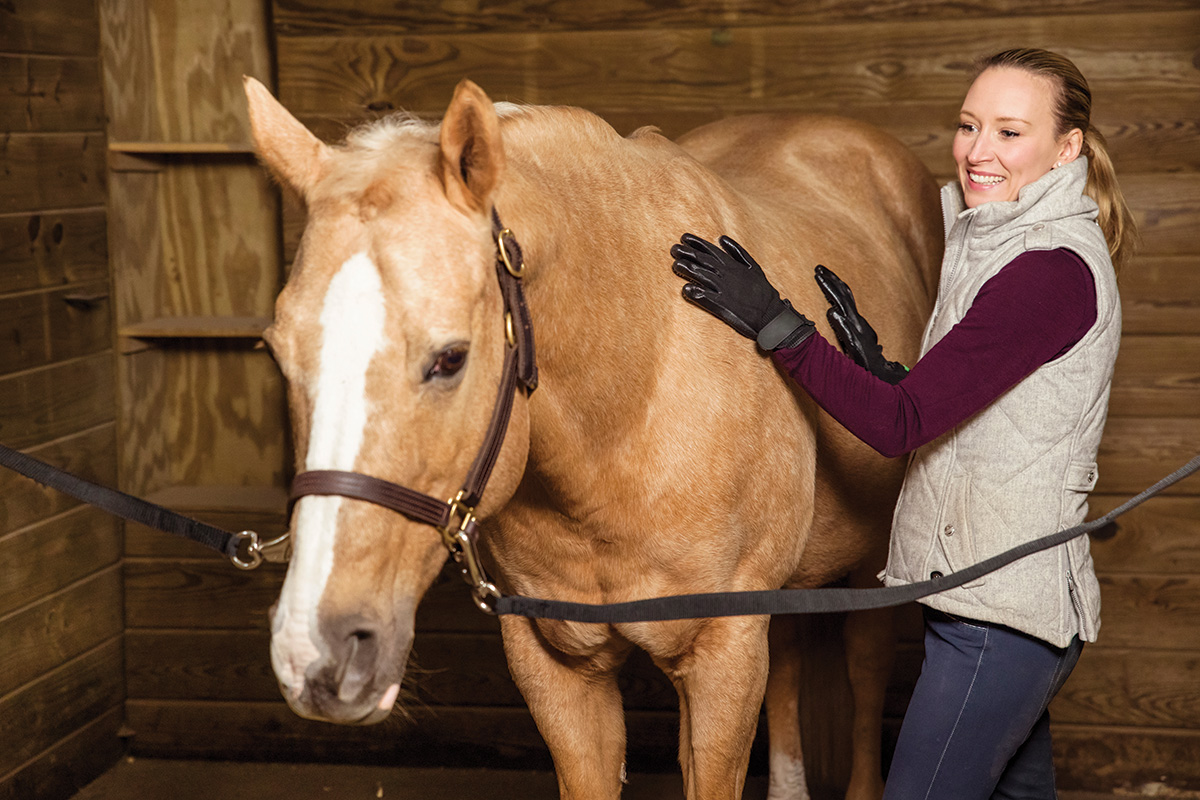 Horse Grooming Suggestions – Horse Illustrated