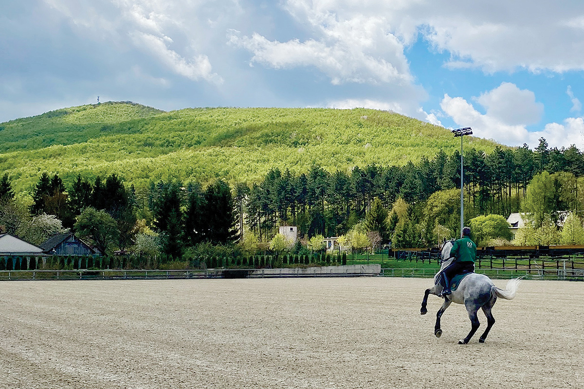 Driving the Lipizzaner Horse in Hungary