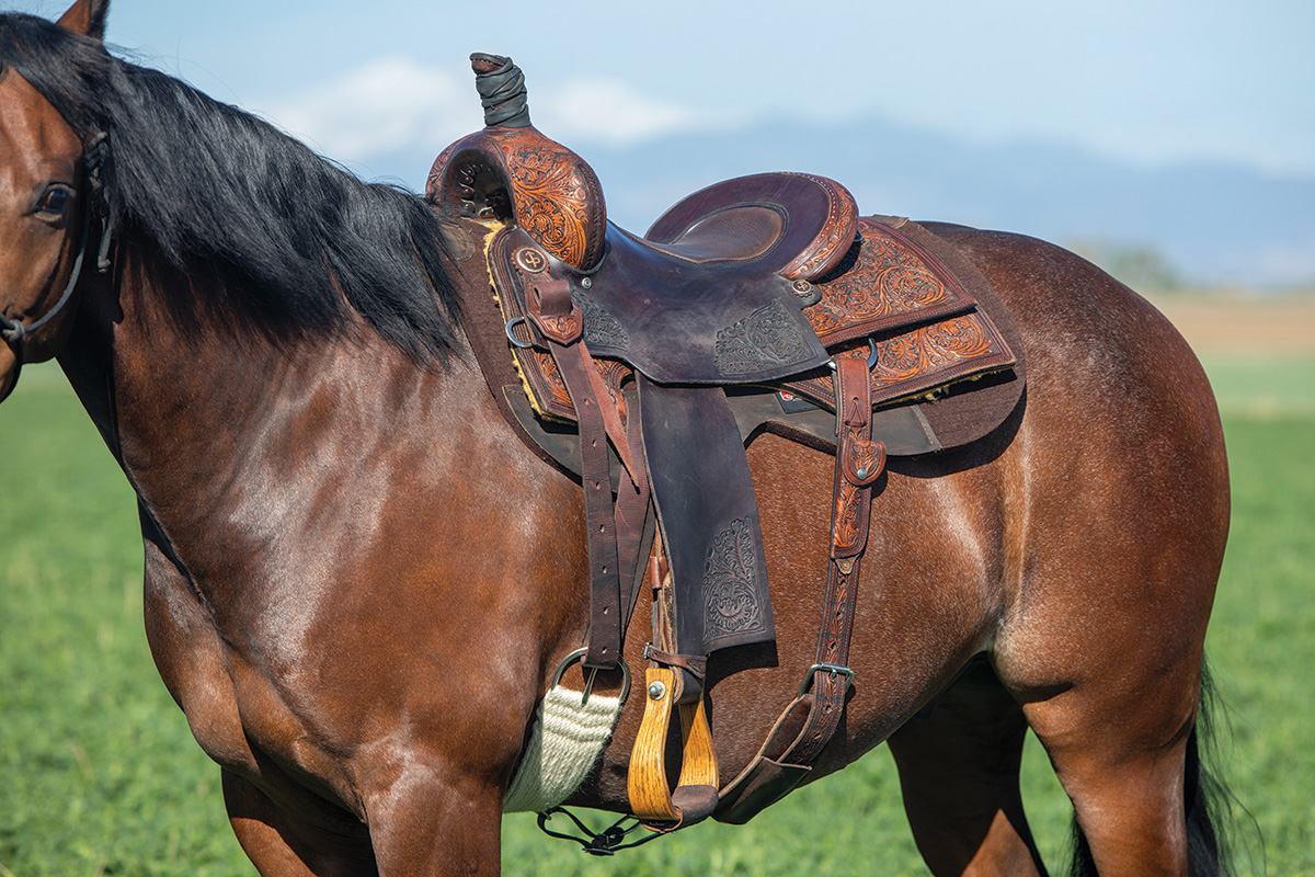 Western Saddle Match Made Easy