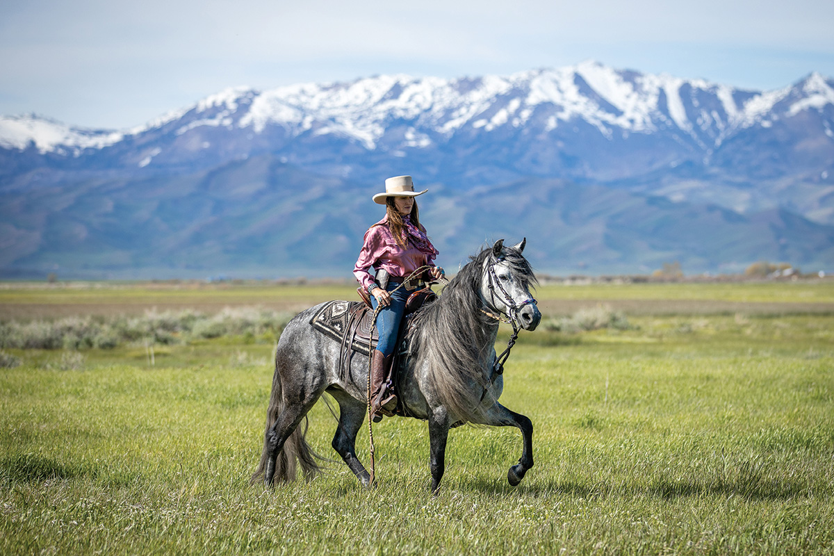 Meet the Peruvian Horse – Horse Illustrated