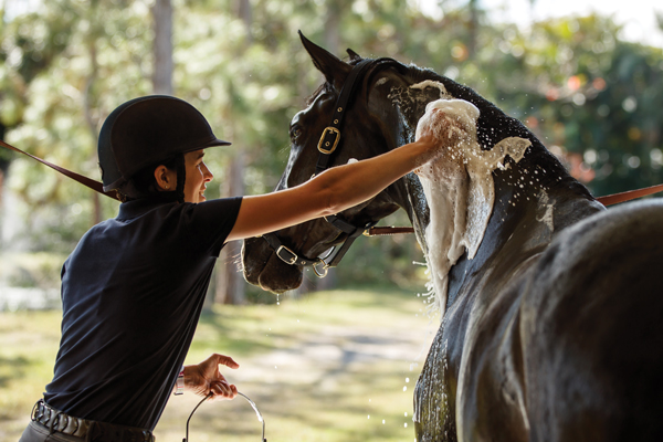 Grooming Makeover Ideas with Emma Ford