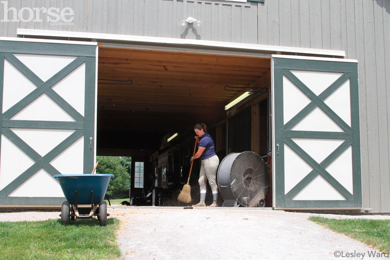 10 Fly Management Strategies for Horses and Barns