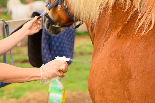 Pure Insect Repellents for Horses