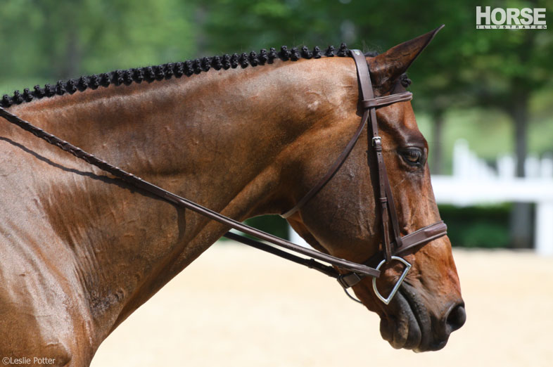 Improve Your Horse’s Mane Braids